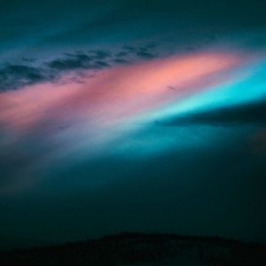 Meet your Posher, Jayden